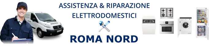 Riparazioni Elettrodomestici Ikea a Roma Nord