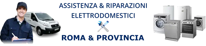 assistenza-elettrodomestici-roma-provincia